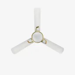 Ceiling Fan Cleaning
